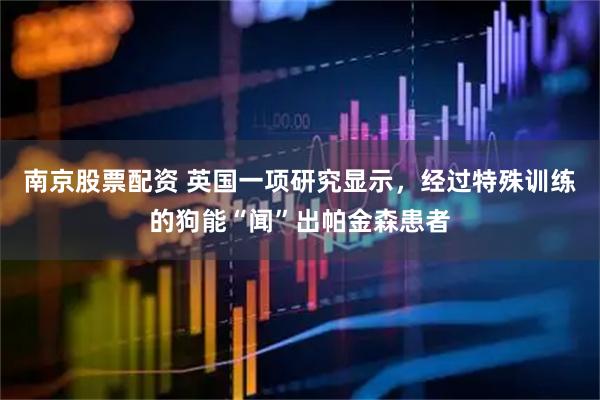 南京股票配资 英国一项研究显示，经过特殊训练的狗能“闻”出帕金森患者