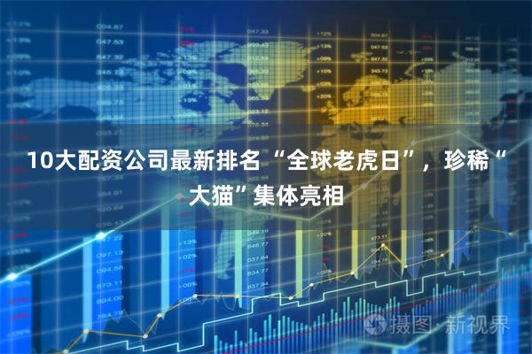 10大配资公司最新排名 “全球老虎日”，珍稀“大猫”集体亮相