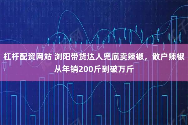 杠杆配资网站 浏阳带货达人兜底卖辣椒,散户辣椒从年销200斤到破万斤